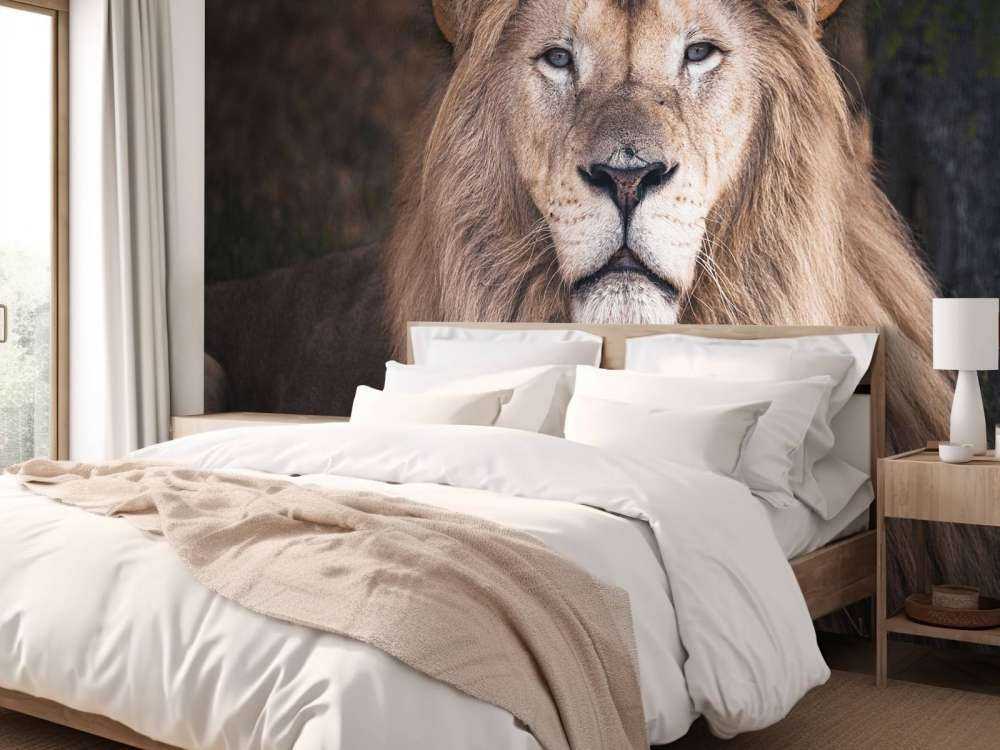 Portrait of a lion