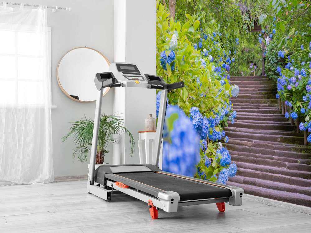 Blue flowers in park