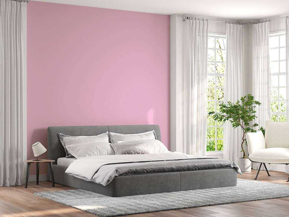 Purple pink