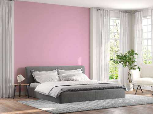 Purple pink