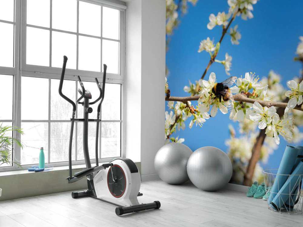 Bumblebee with white blossoms