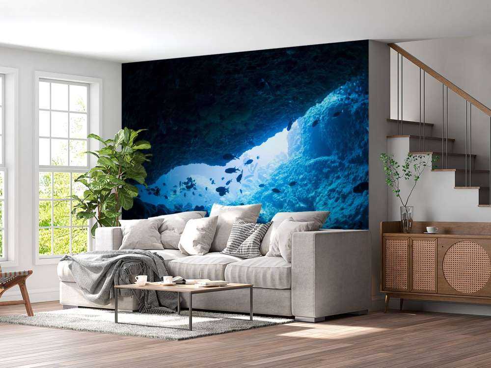 Narrow cave with fish