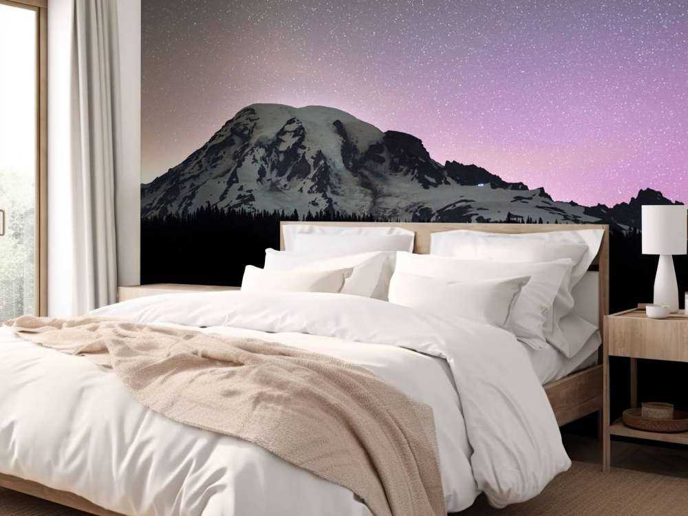 Mount Rainier with northern lights
