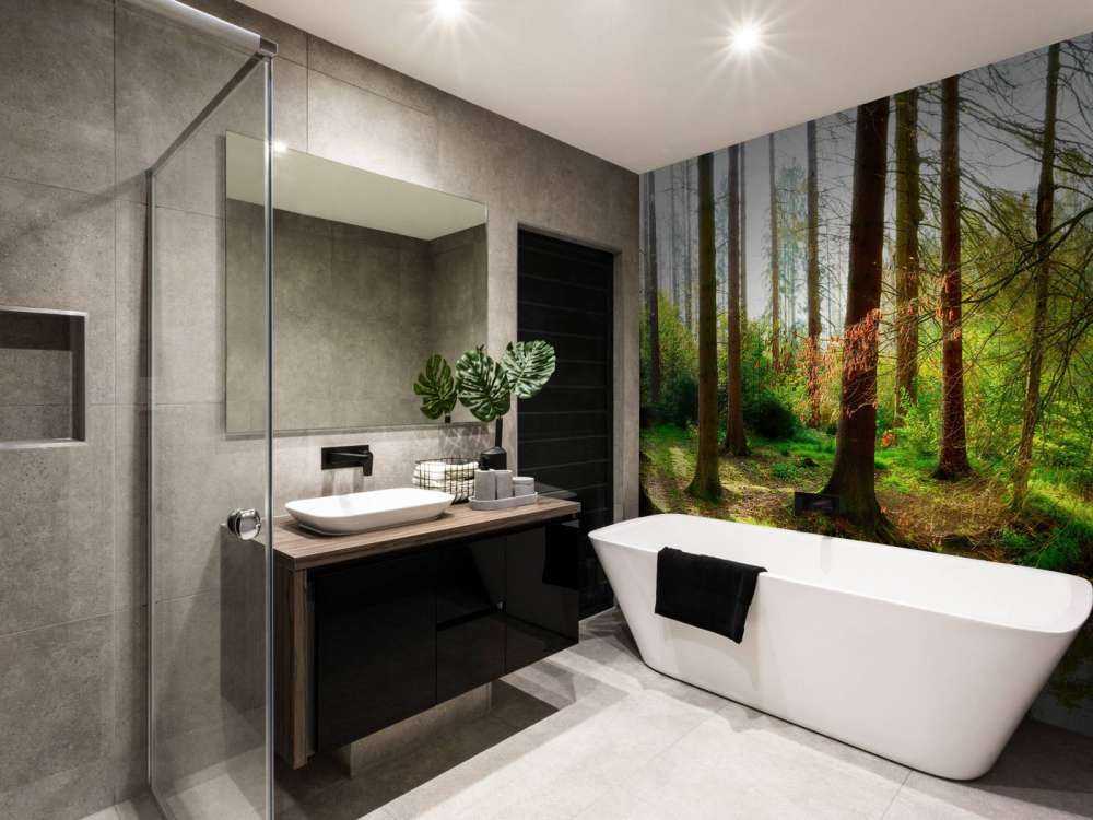 Autumn forest with bright sunlight