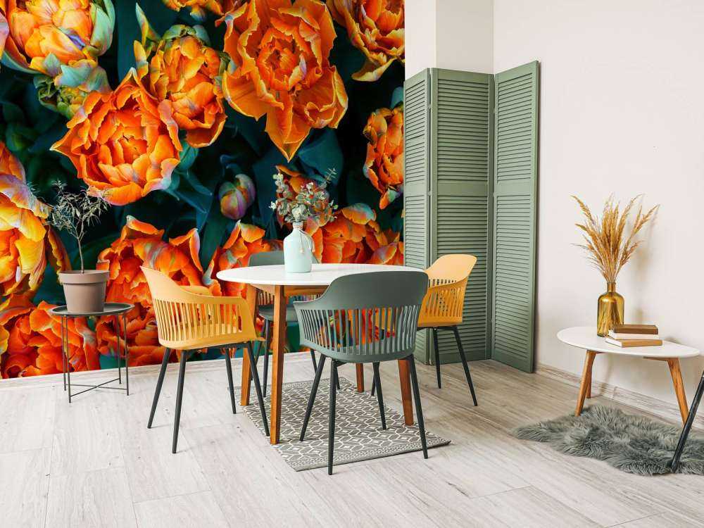 Close-up orange tulips