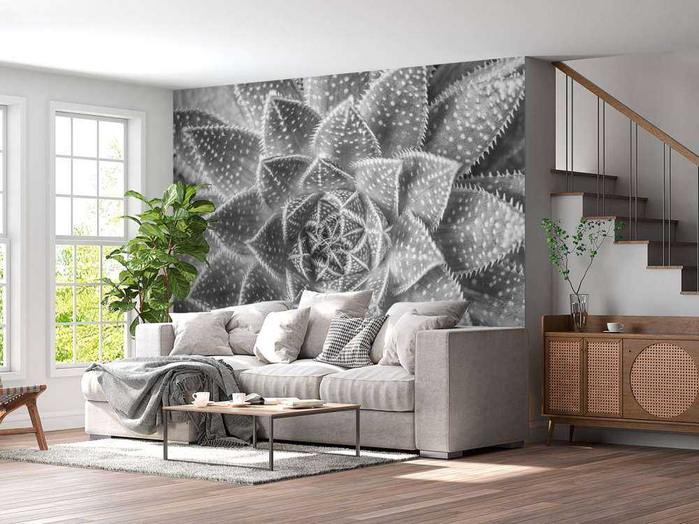 Succulent in black and white