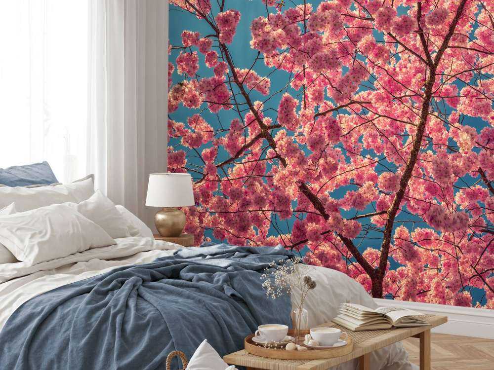 Bright pink blossoms