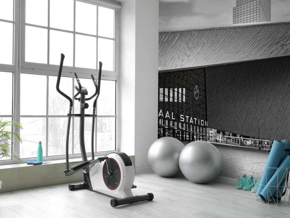 Dynamic Perspective on Central Station