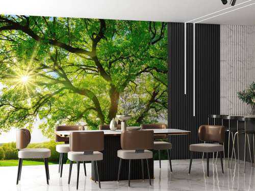 Tree with sunbeams