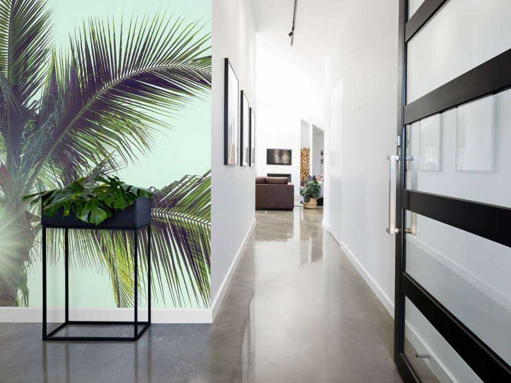 Palm trees in the sun