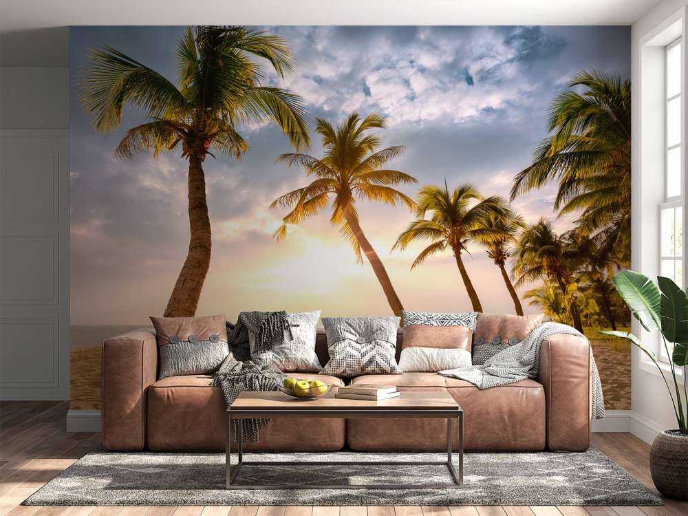 Coconut palms against the sunset