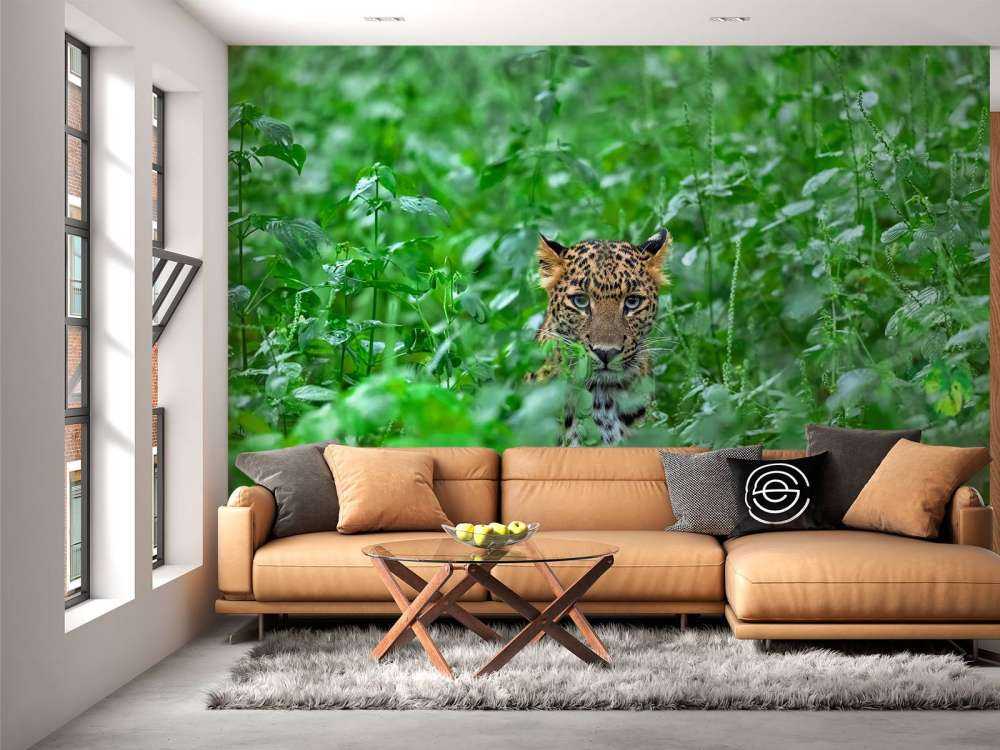 Leopard in the forest