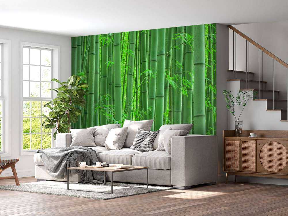 Closeup bamboo forest