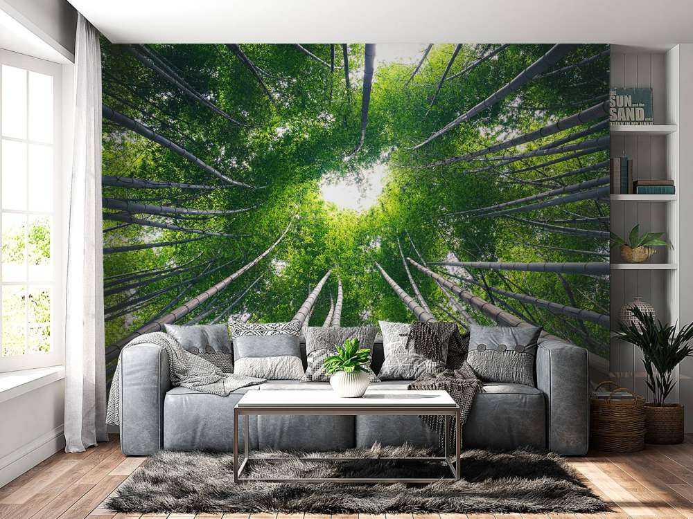 Forest with bamboo