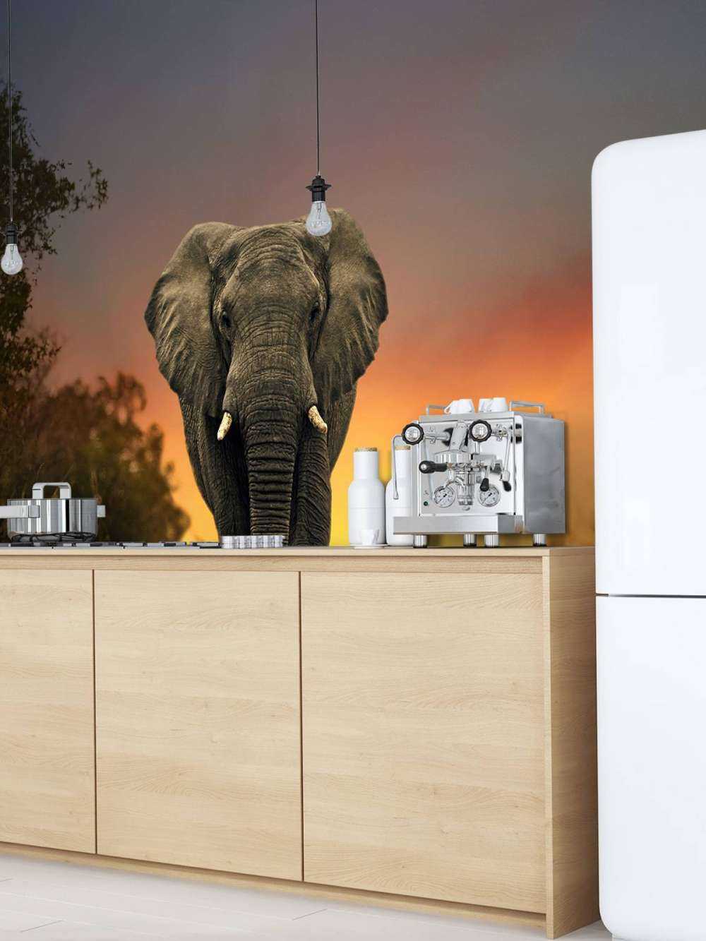 Elephant in the sunset