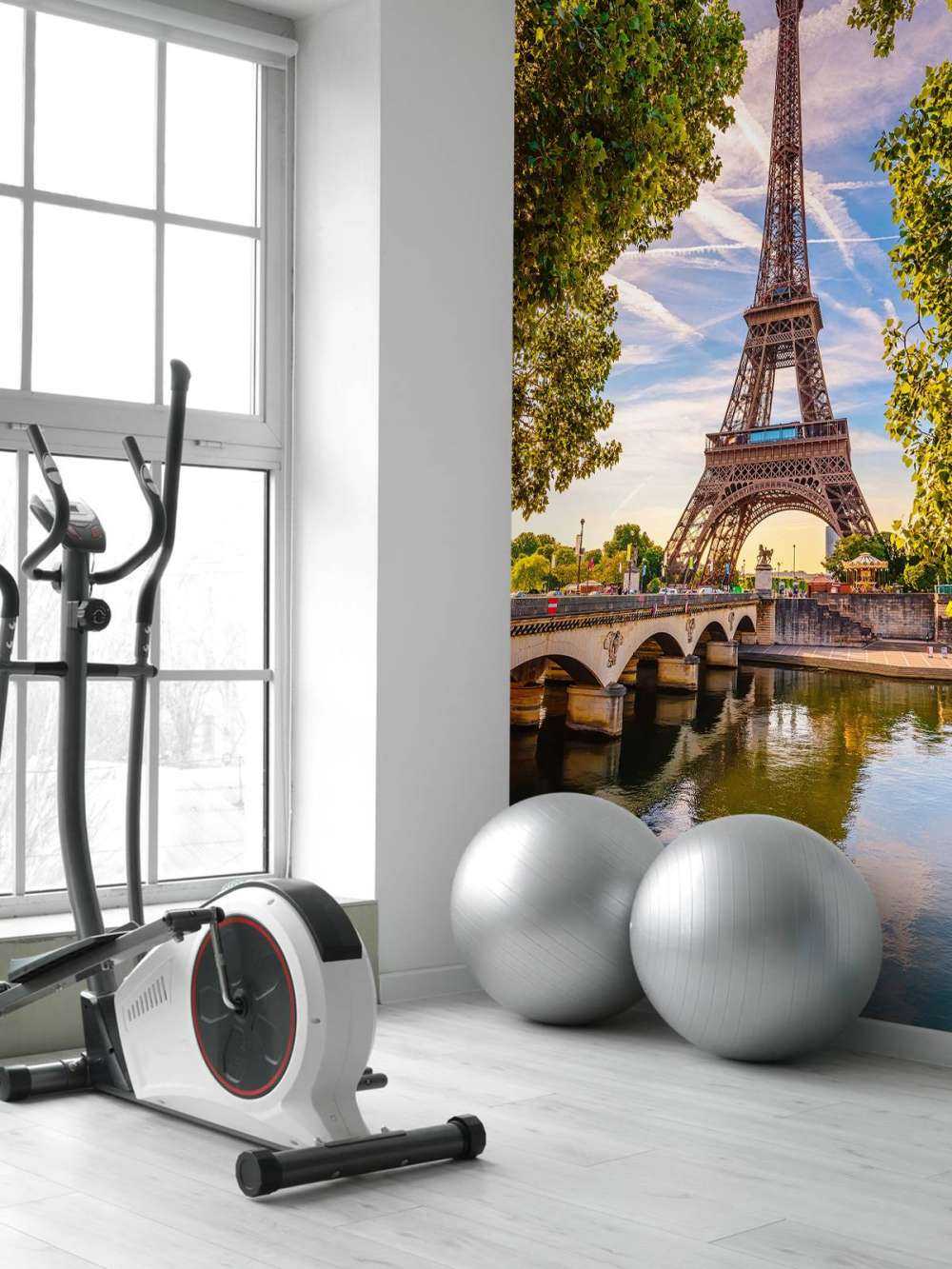 Eiffel Tower and the Seine