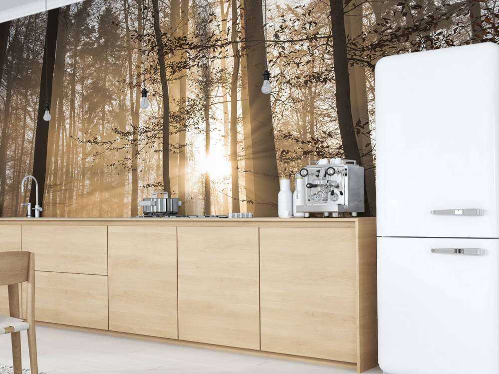 Sunshine in a misty forest