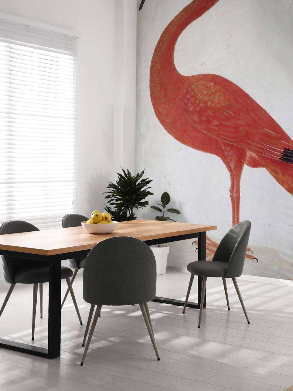 Red Ibis with an egg