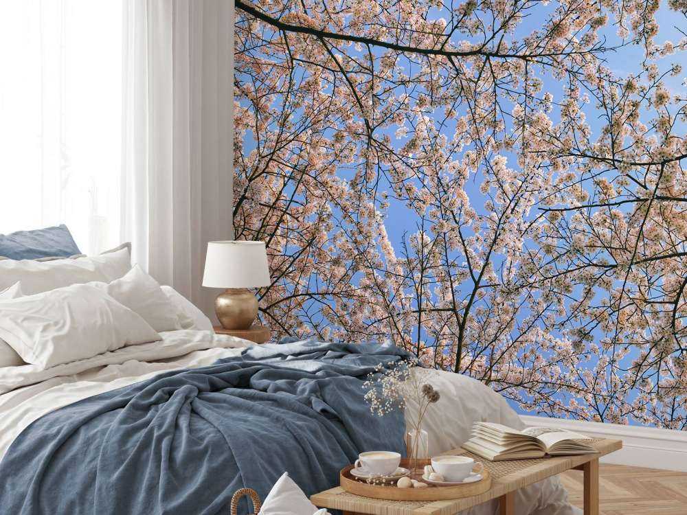 Flowering branches in bloom