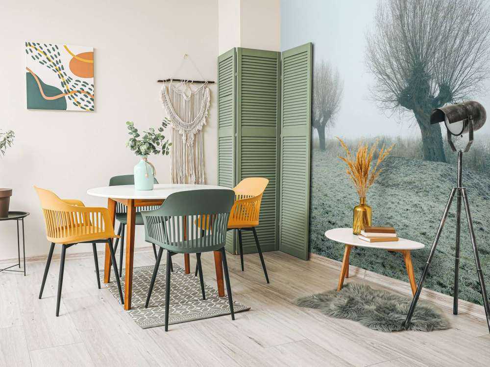 Pollard willows in the fog