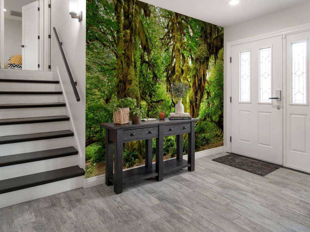 Old wilderness forest