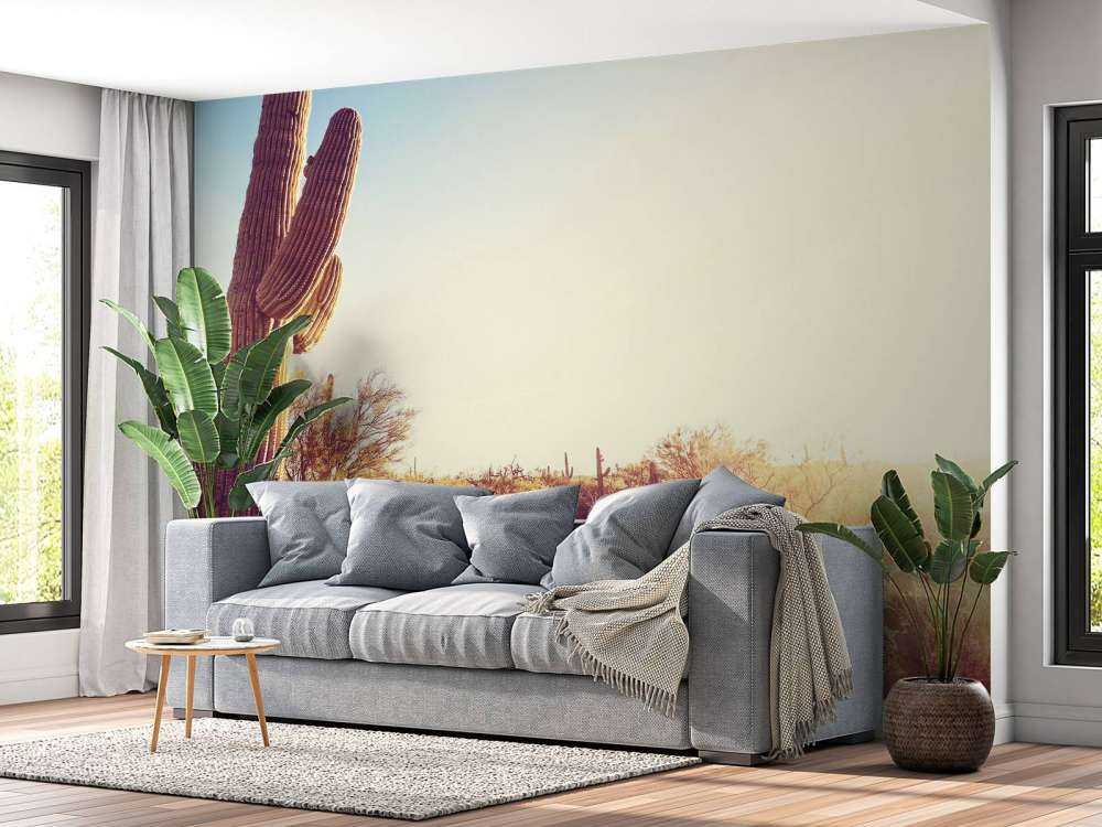 Cactus in the desert