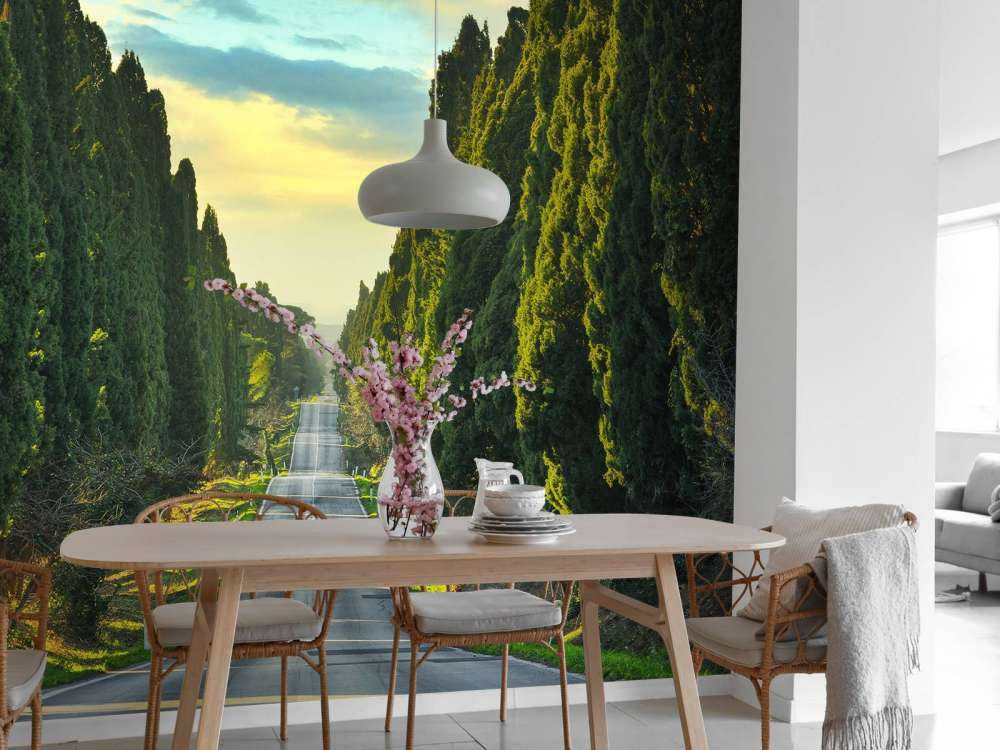 Road with tall trees