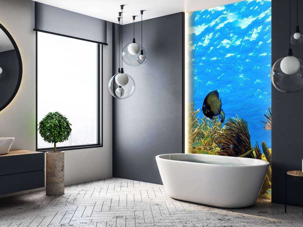Underwater panorama