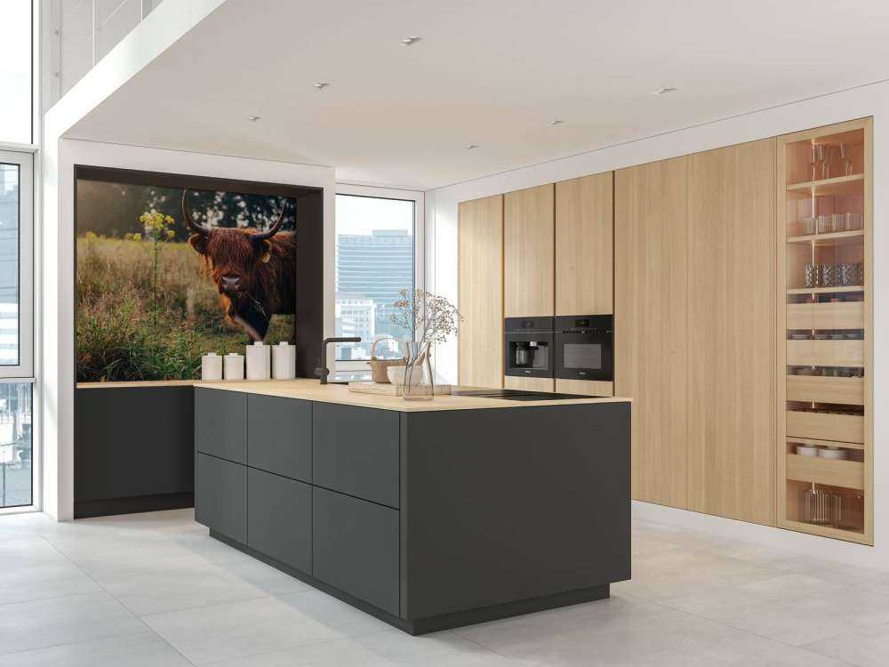 Scottish highlander in the high grass