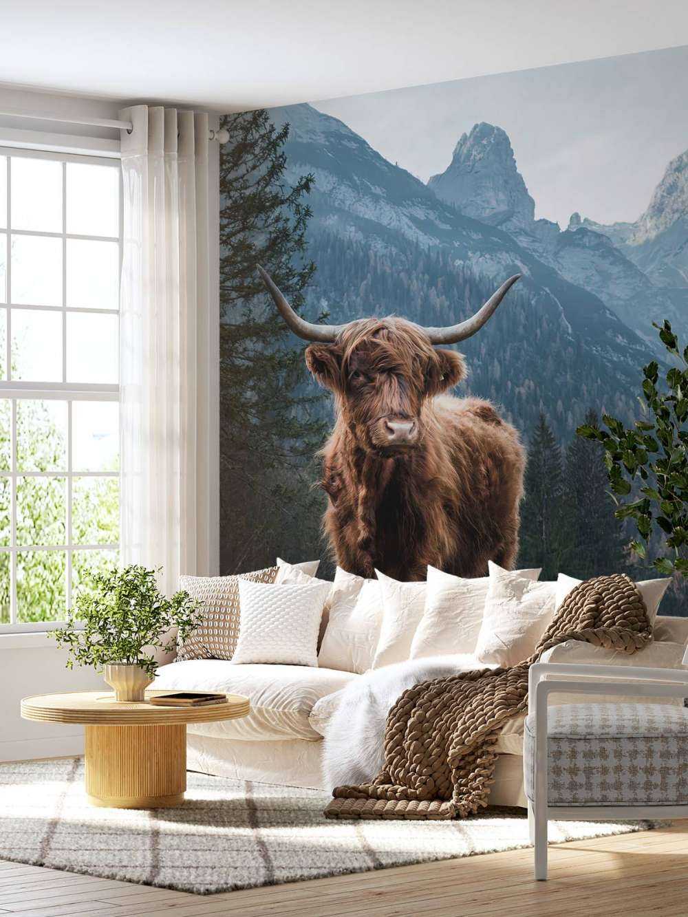 Scottish highlander among the trees