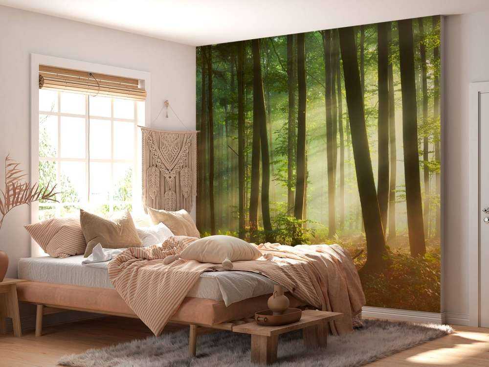 Morning sun among the trees