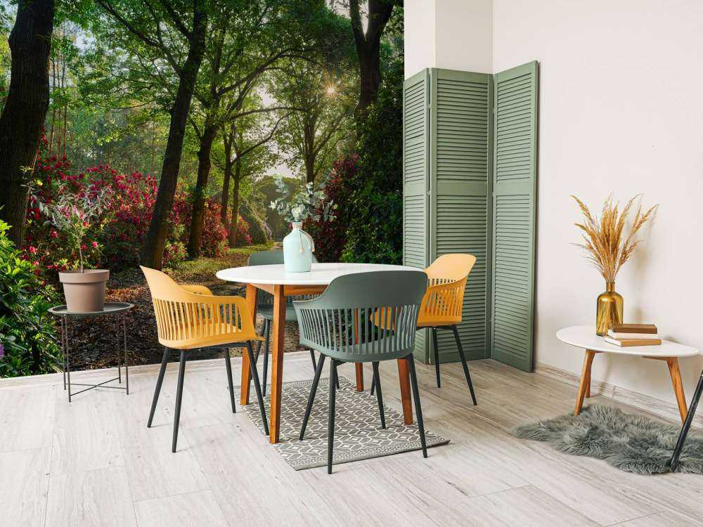 Sunrise at path with rhododendrons