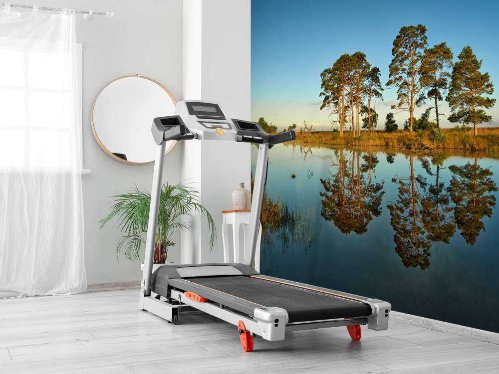 Reflection in forest lake