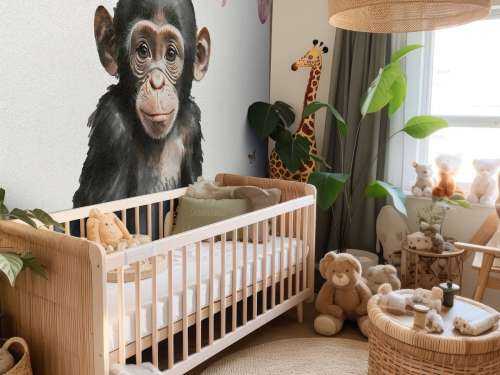 Baby chimpanzee in the jungle pink