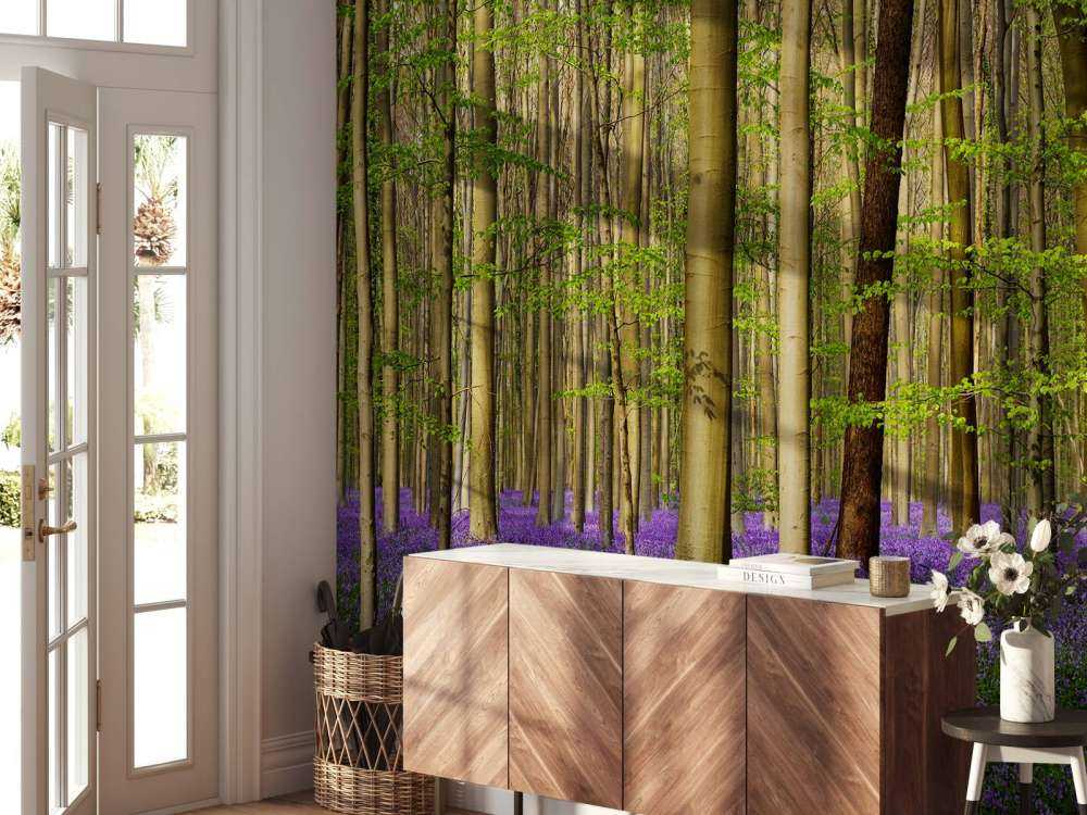 Forest with woodland hyacinths