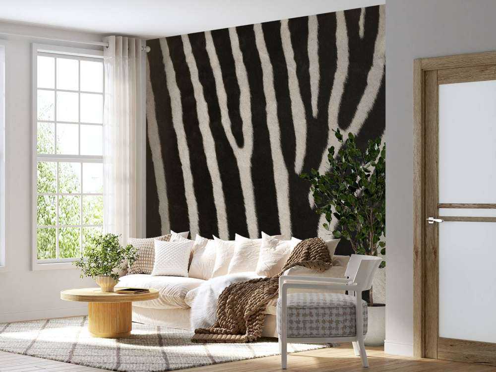 Zebra fur