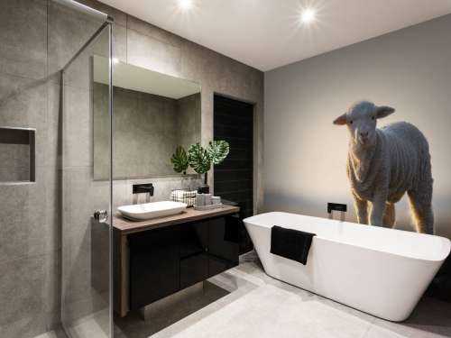 Lamb