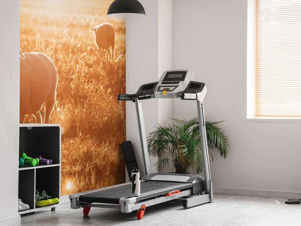 Sheep in beautiful pasture