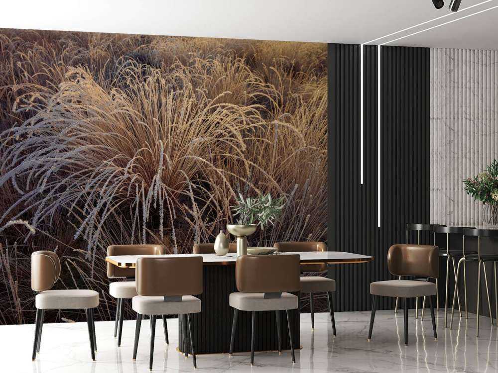 Grasses with hoarfrost