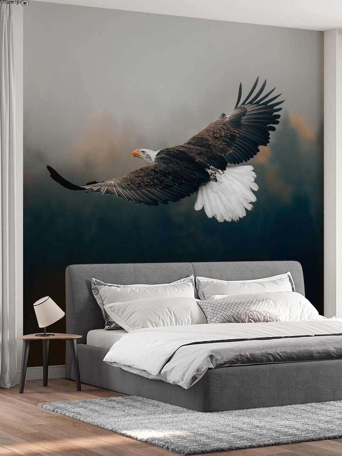 Bald eagle above the forest