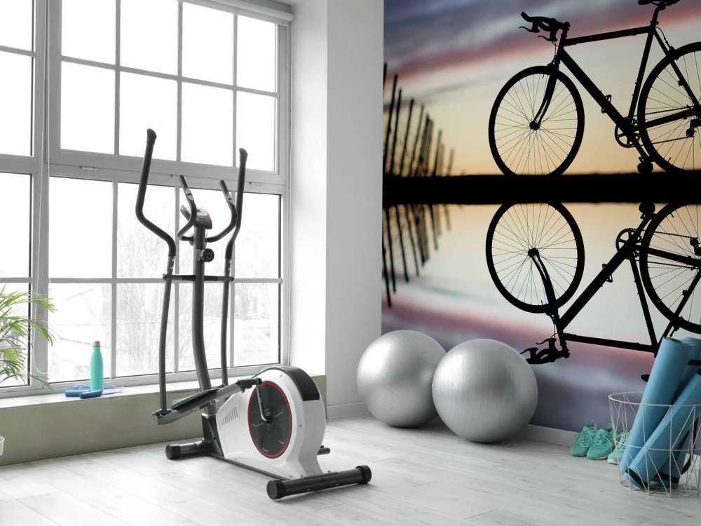 Racing bike at sunset