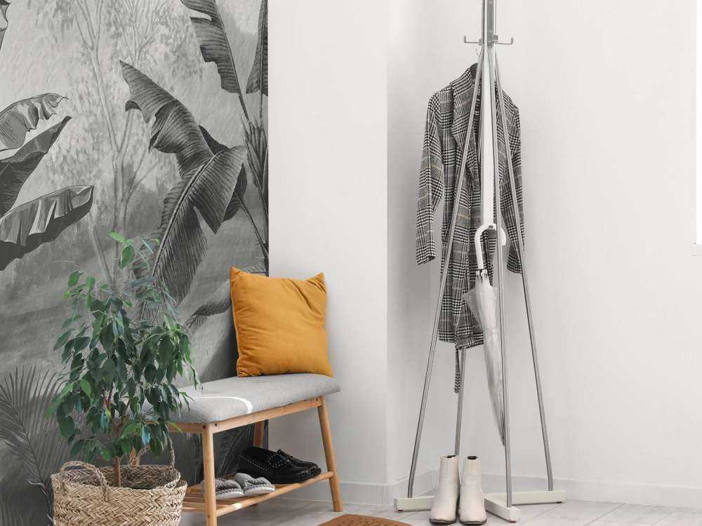 Banana trees in black and white