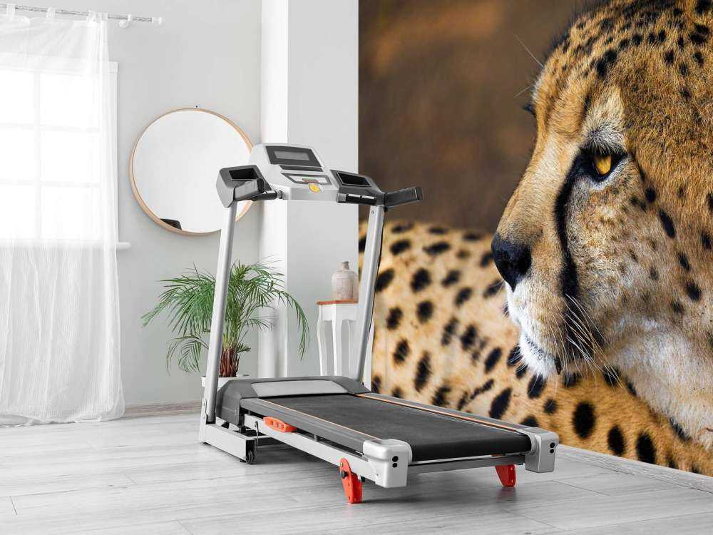 Zij-aanzicht luipaard