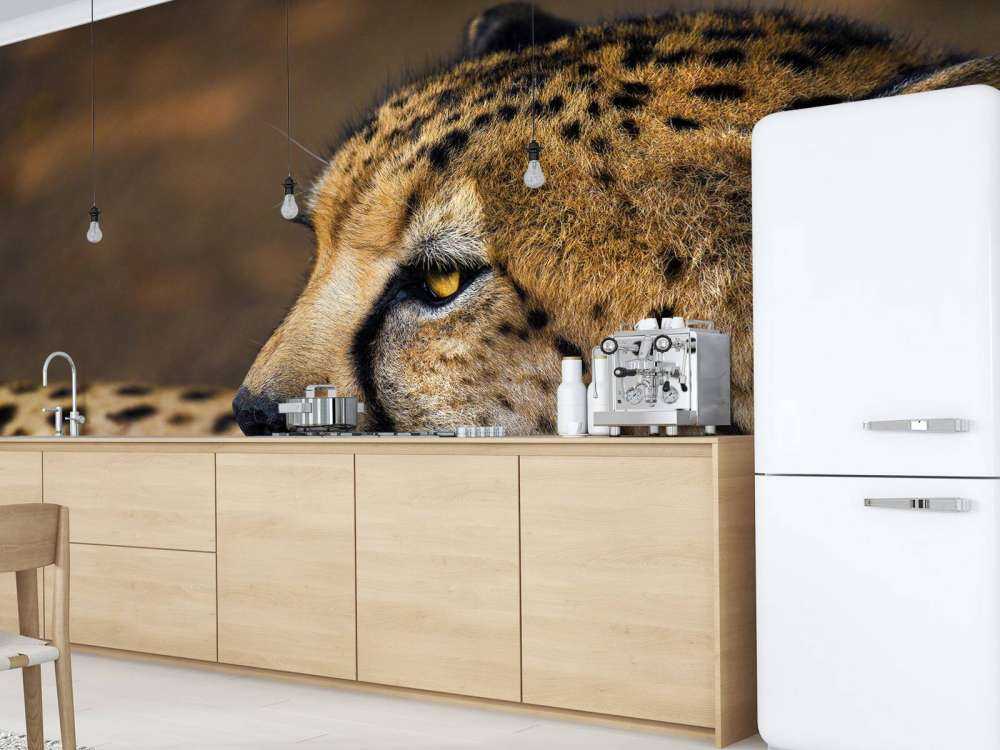 Zij-aanzicht luipaard