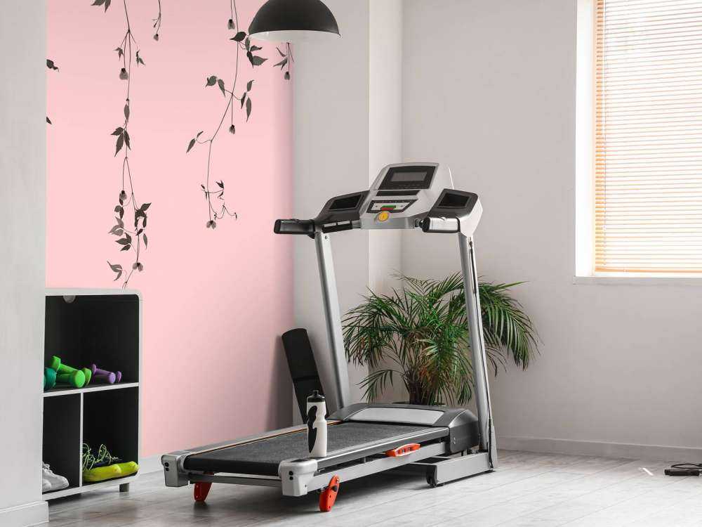 Clematis twigs on pink