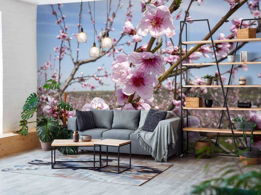 Light Pink Blossoms