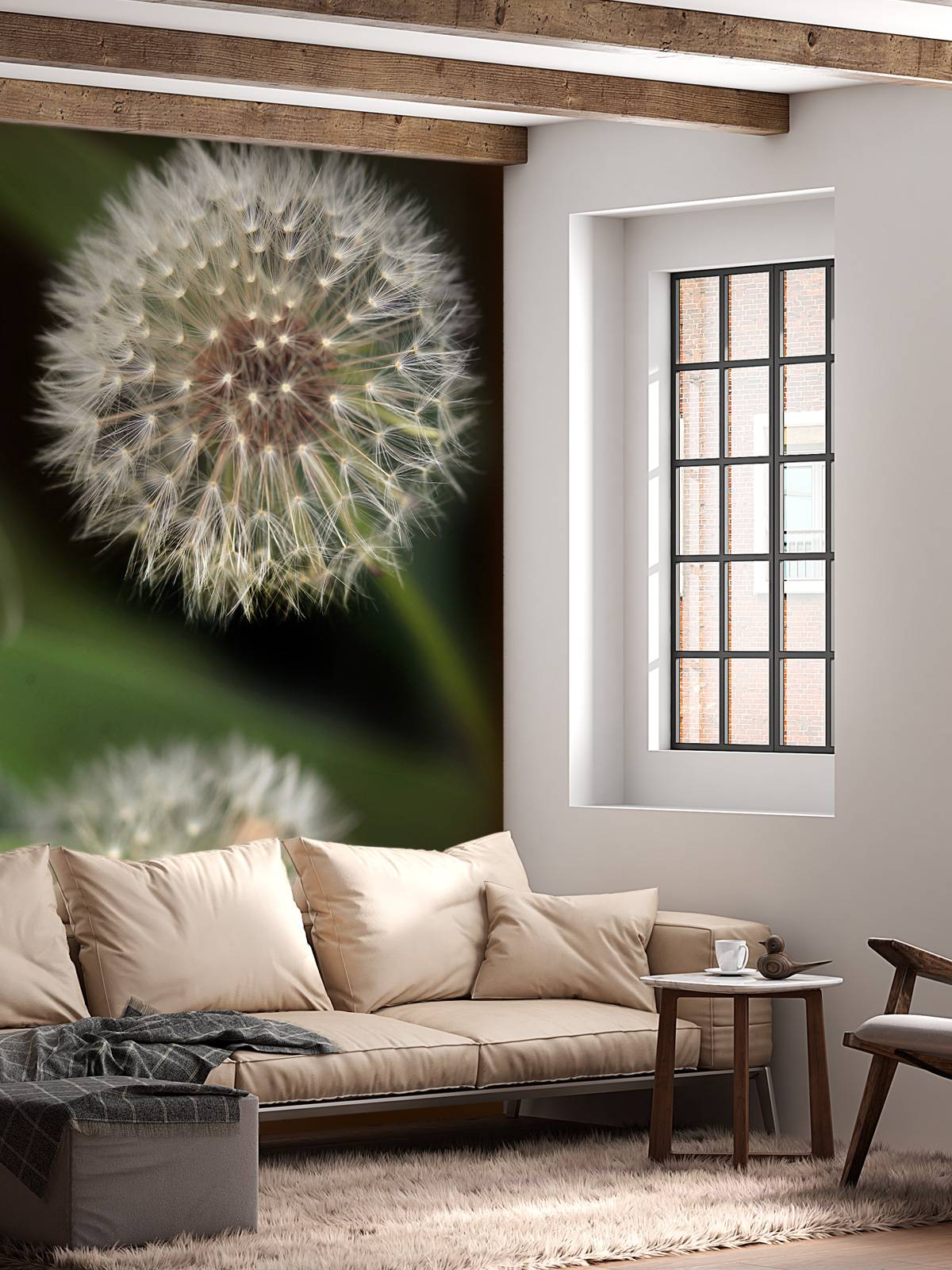 Close-up dandelions