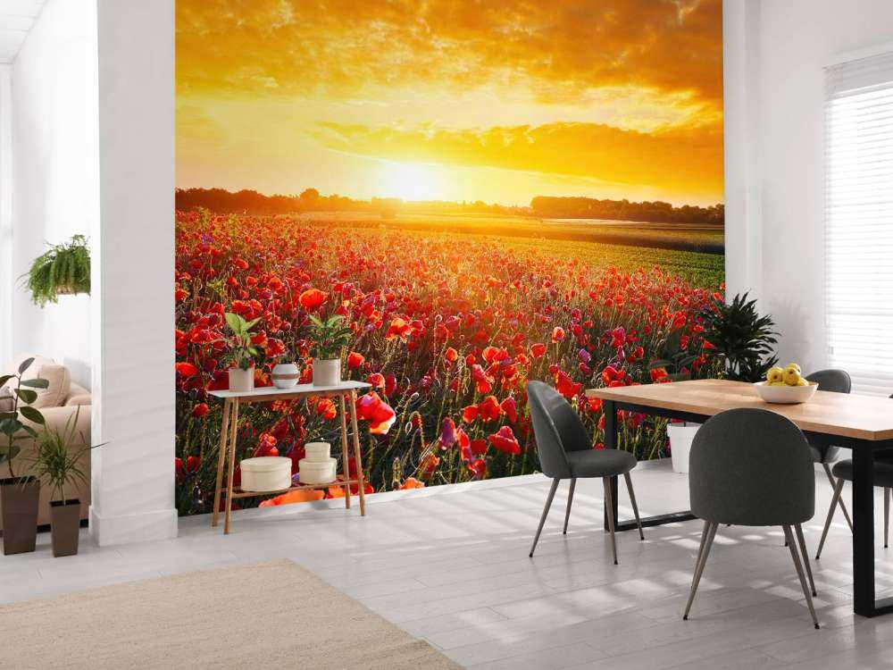Poppies and Sunset