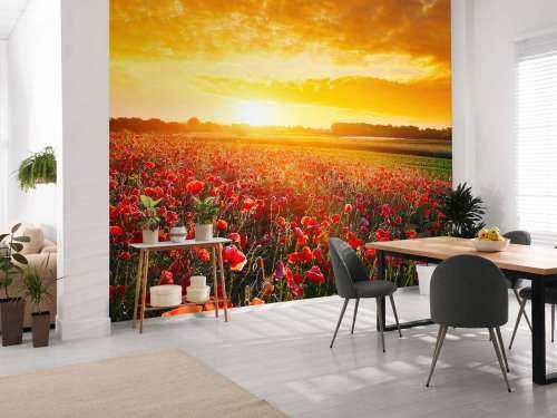 Poppies and Sunset