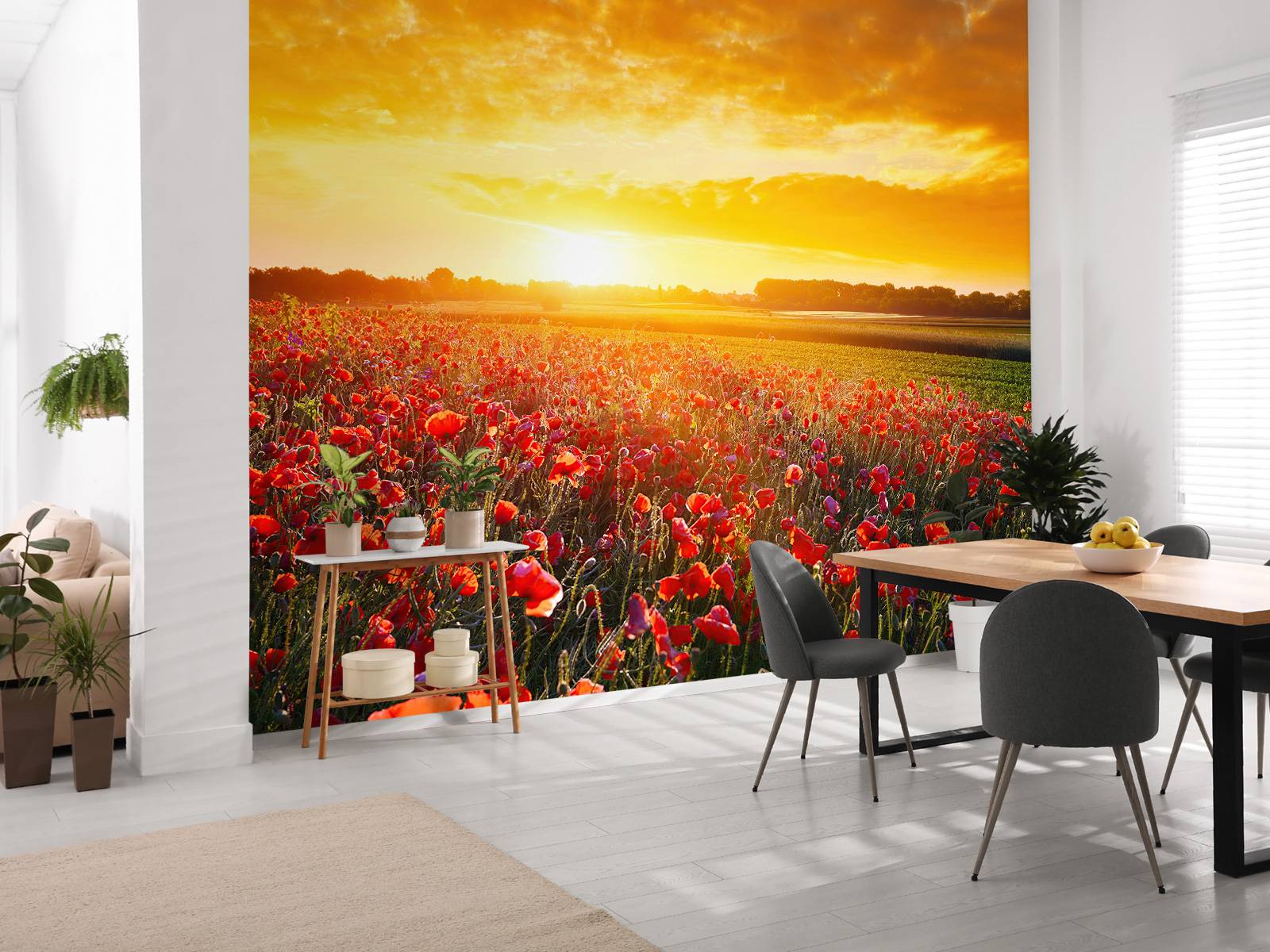 Poppies and Sunset